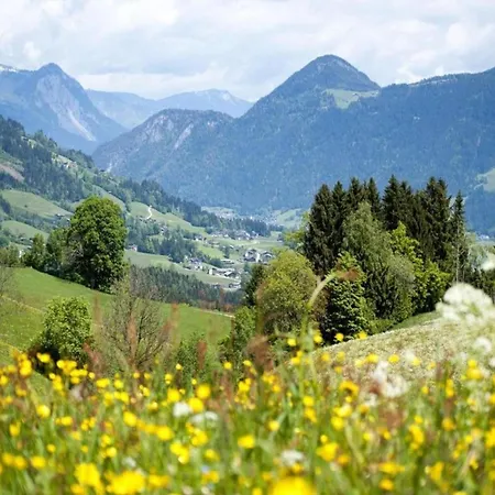 Apartment In Fuegen Near Hochzillertal Skiing, Cleaning Included *